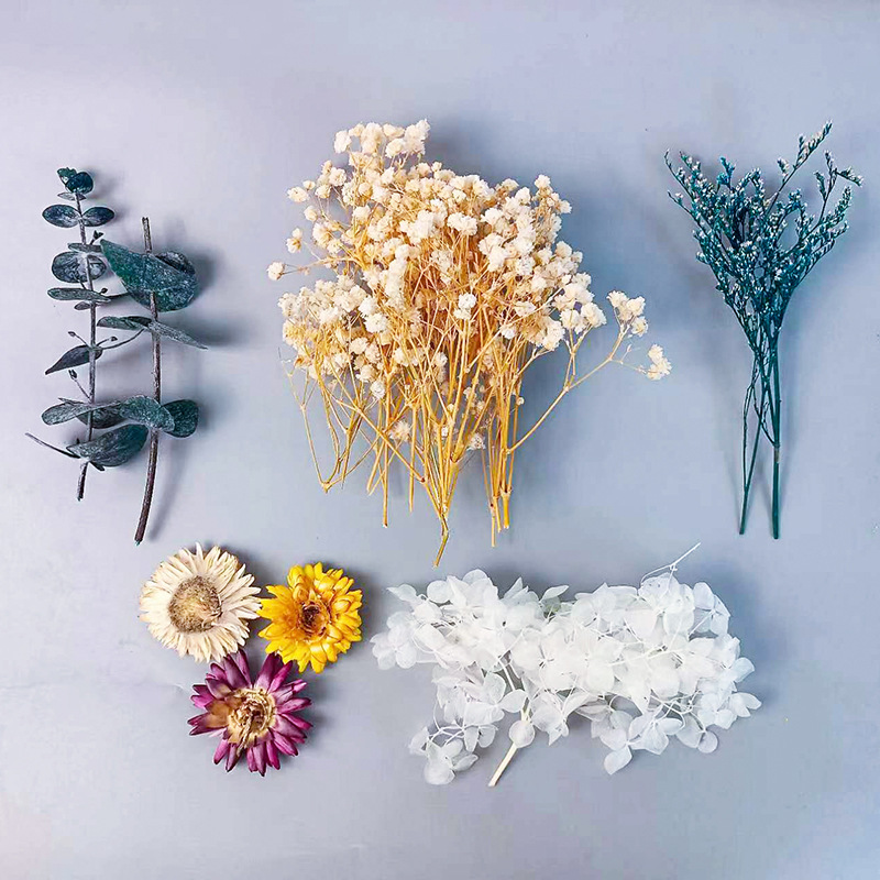 Craft Embellishment - 1pack Veelsoortige Gedroogde Bloemen Set Voor