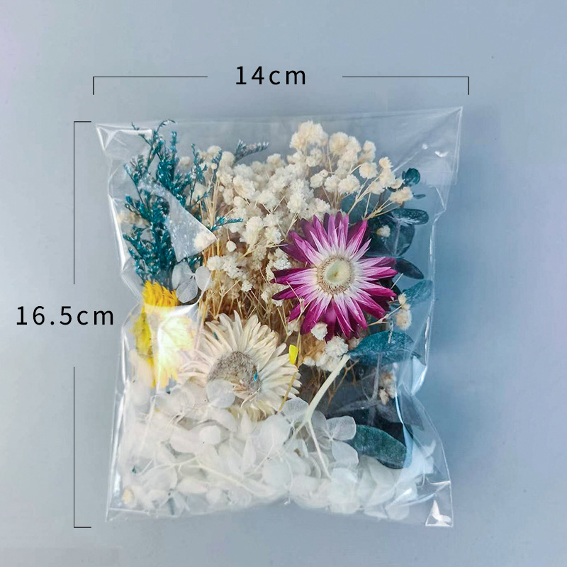 1pack Veelsoortige Gedroogde B - Craft Embellishment recensie en prijs