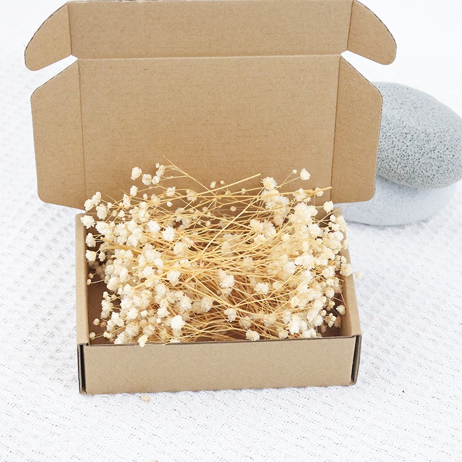 Gedroogde Baby's Breath Bloeme - Craft Embellishment recensie en prijs