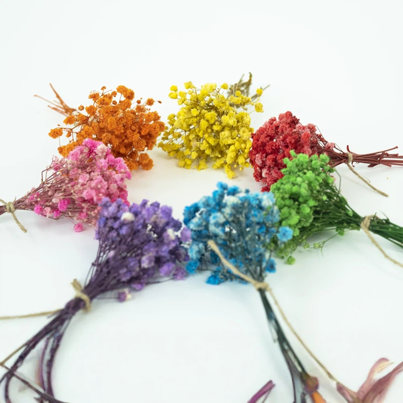 Gedroogde Baby's Breath Bloeme - Craft Embellishment recensie en prijs